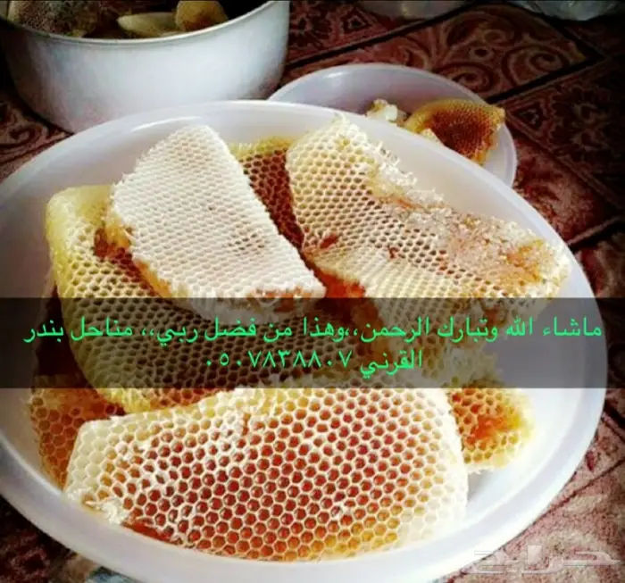 عسل السدرة وعسل السمرة بلدي مفحوص  13