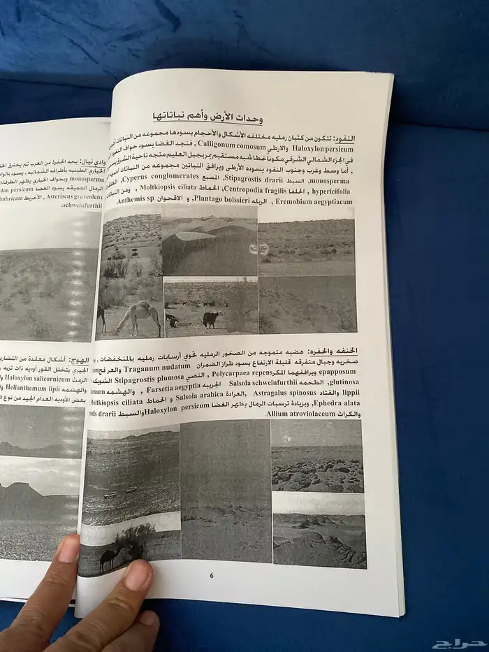 كتاب النباتات البرية بالسعودية 1