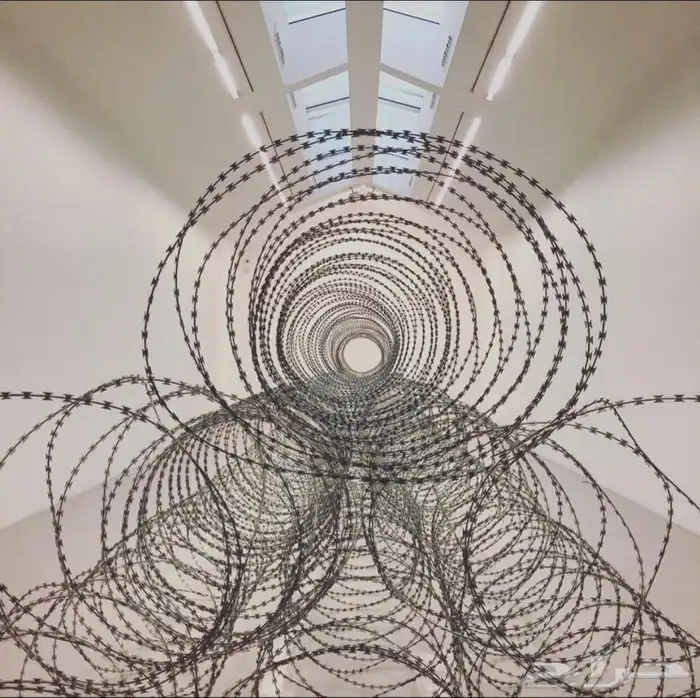 أسلاك شائكة حلزونية كونسرتينا Galvanised Razor wire 3