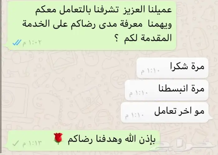 حصان للإيجار 11