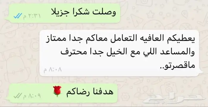 حصان للإيجار 12