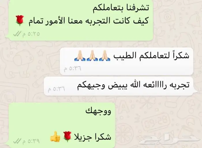 سيسي للإيجار اليومي 10