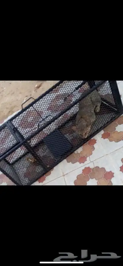 اقفاص حيوانات وغيرها لتخلص من اذاها 2