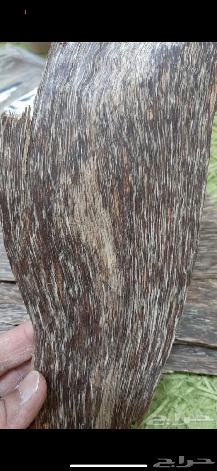 عرض الرقائق الفيتناميه 250 بدلا من 350 رياا 2