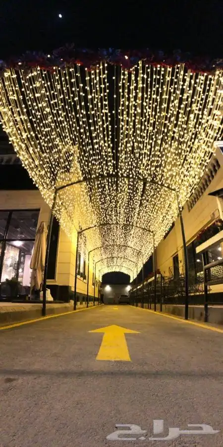 شبكة وستارة مضيئة LEDاضاءة 13