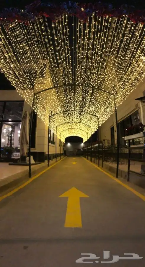 شبكة وستارة مضيئة LEDاضاءة 14