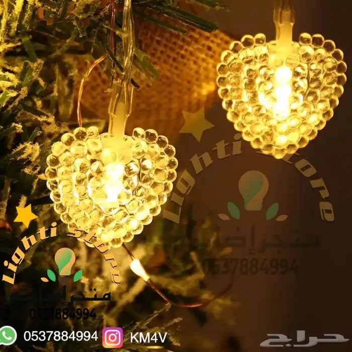 شبكة وستارة مضيئة LEDاضاءة 19