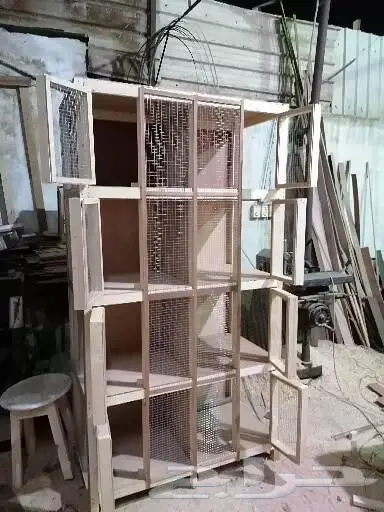 ينبع البحر 5