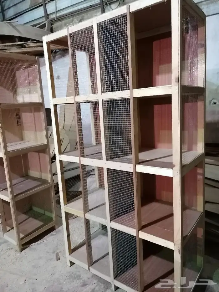 ينبع البحر 0