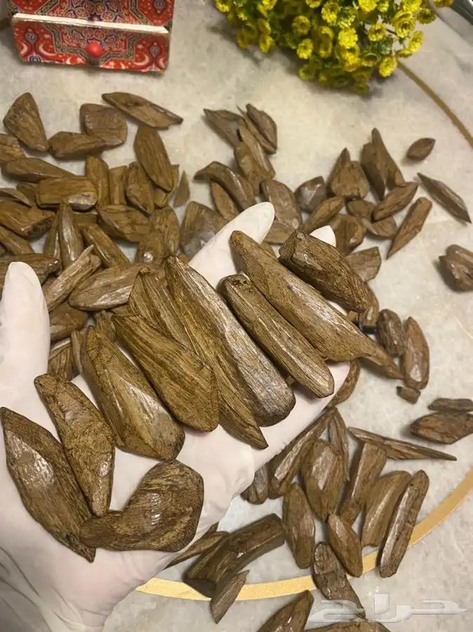 عود مروكي ملكي 0