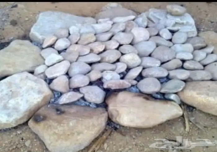حجر مظبي حجر مرو حجر حدائق حجر صحي (تسليم فوري) 1