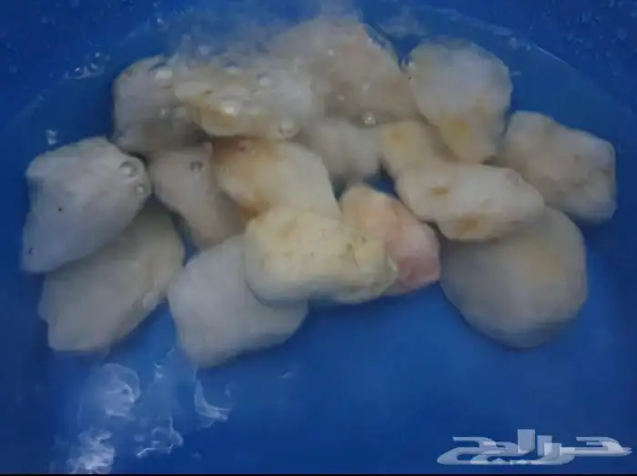 حجر مظبي حجر مرو حجر حدائق حجر صحي (تسليم فوري) 2