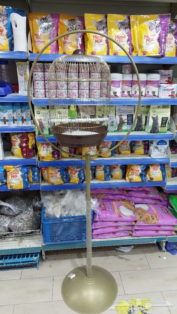 نوادر لبيع الطيور وجميع مستلزماتها 13