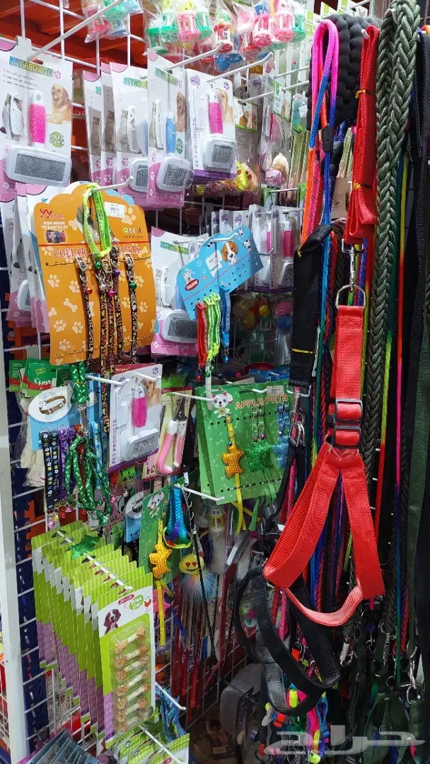 نوادر لبيع الطيور وجميع مستلزماتها 17