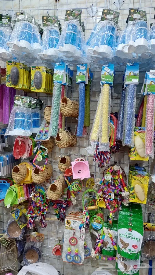 نوادر لبيع الطيور وجميع مستلزماتها 24