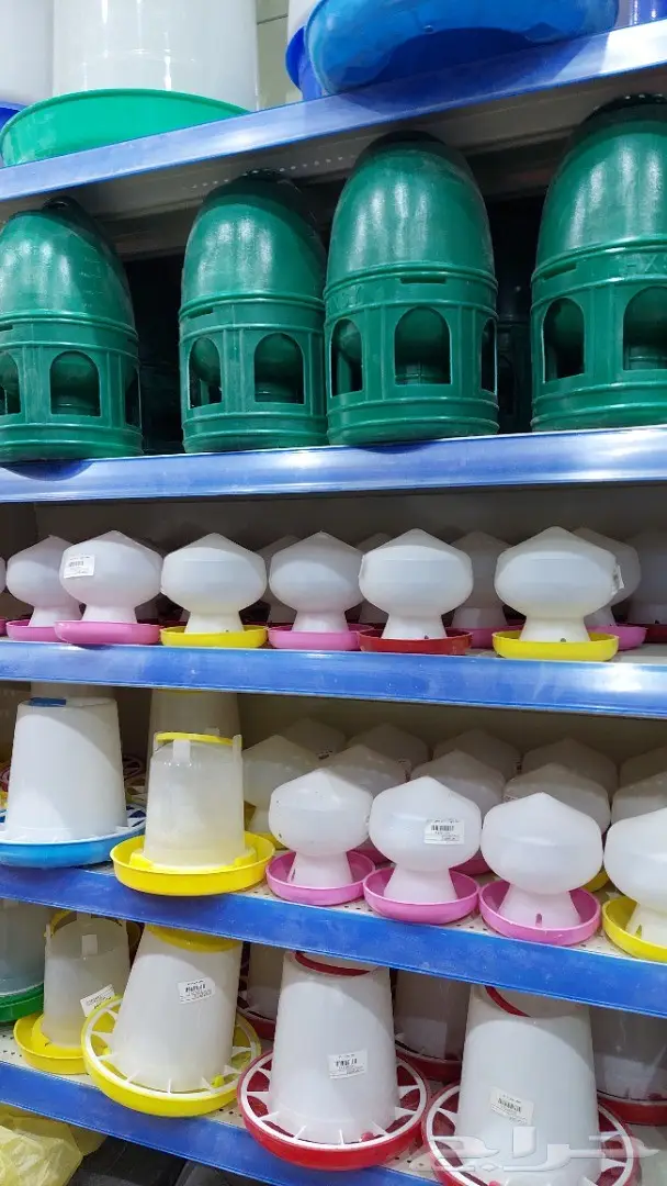 نوادر لبيع الطيور وجميع مستلزماتها 25