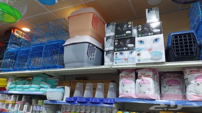 نوادر لبيع الطيور وجميع مستلزماتها 14