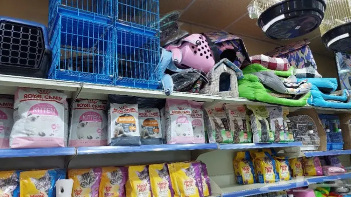 نوادر لبيع الطيور وجميع مستلزماتها 15