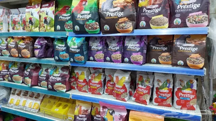 نوادر لبيع الطيور وجميع مستلزماتها 22