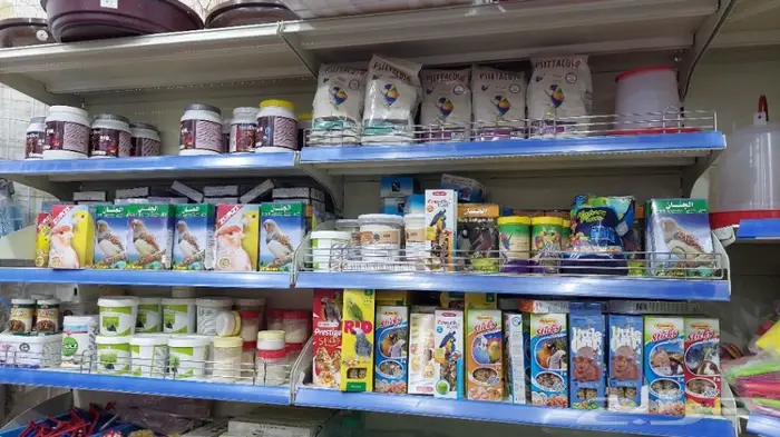 نوادر لبيع الطيور وجميع مستلزماتها 23