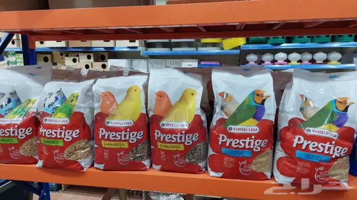 نوادر لبيع الطيور وجميع مستلزماتها 26