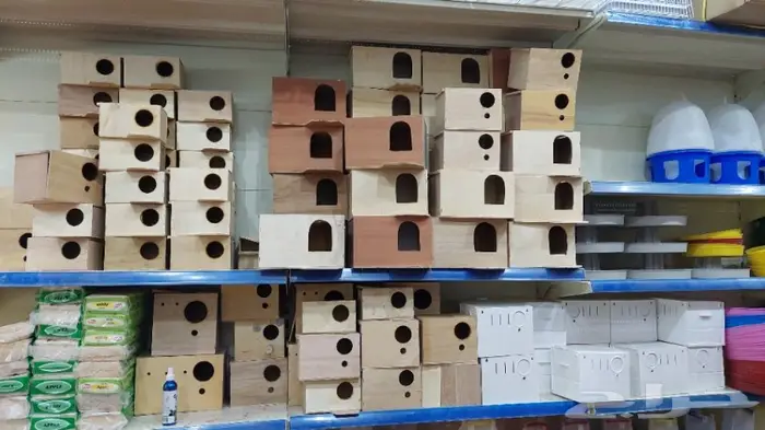 نوادر لبيع الطيور وجميع مستلزماتها 27