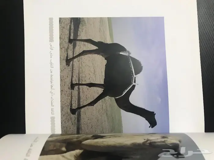 كتاب الابل أنواعها واعمارها 4