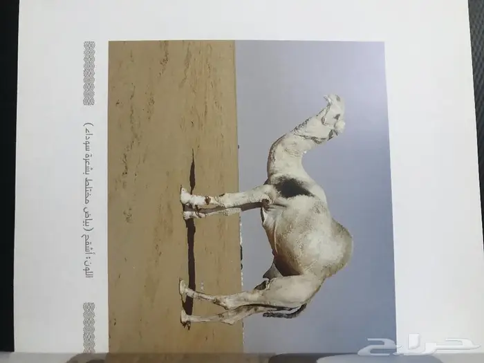 كتاب الابل أنواعها واعمارها 5