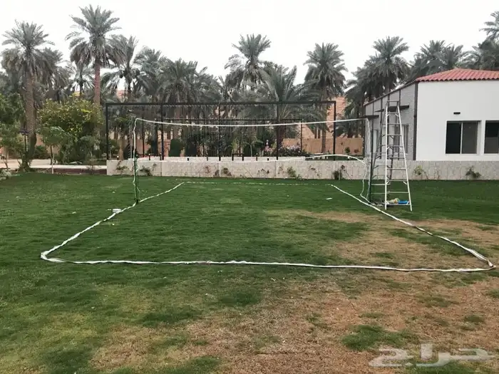ملعب طائرة متنقل 250 ريال 1