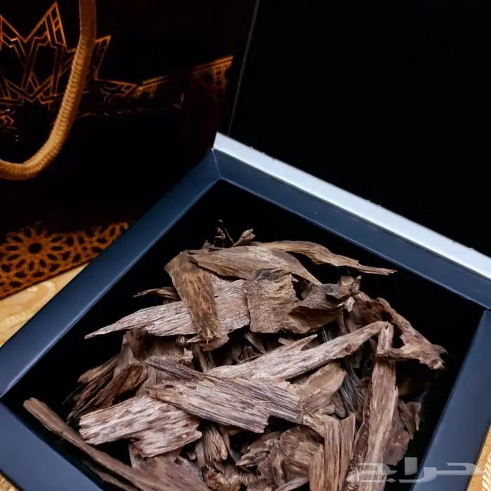 عود كلمنتان بونتيانك أول السوبر 0