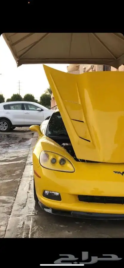 كبوت لومينا رياضي شكل القفاري 2005 - 2006 5