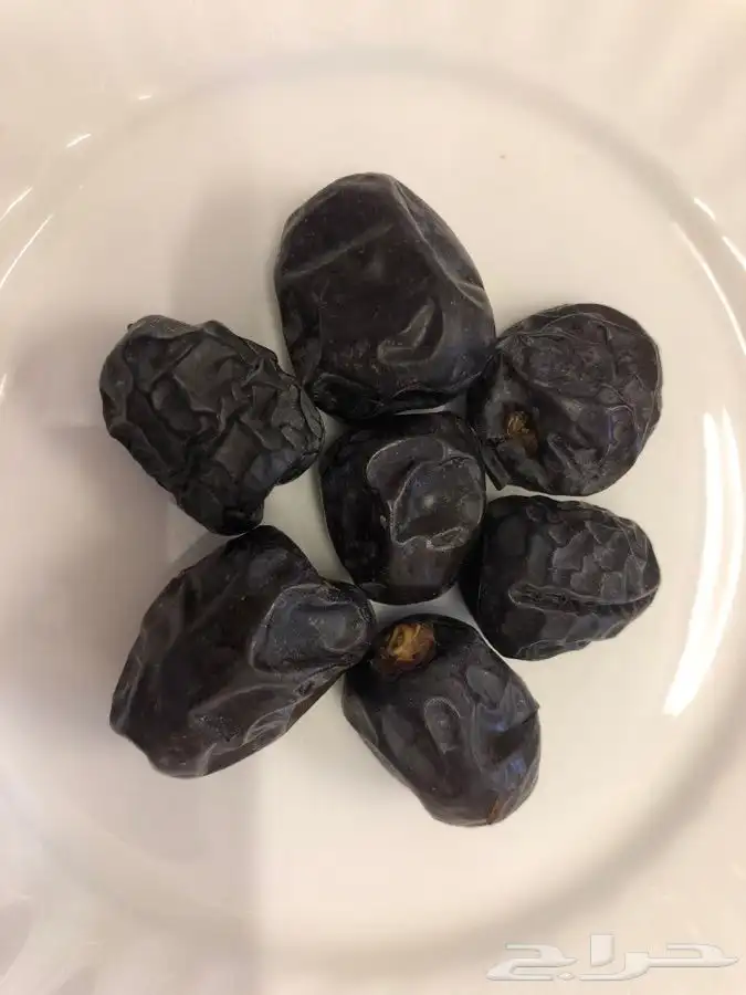 عجوة عالية قباء إصدار خاص 0