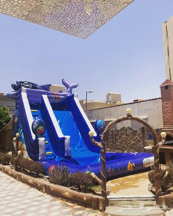أجار نطيطات وزحاليق 0