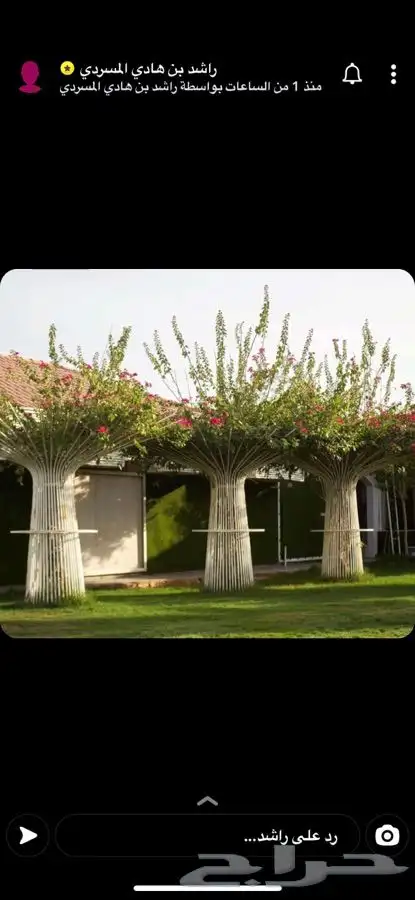 حداد الاحساء ورشة السماعيل 9