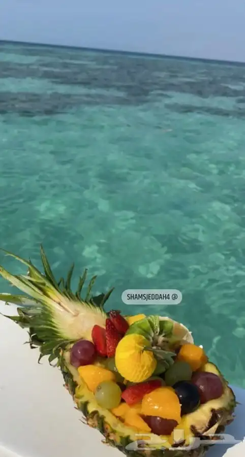 رحلات بحرية مالديف جدة جزيرة بياضه 8