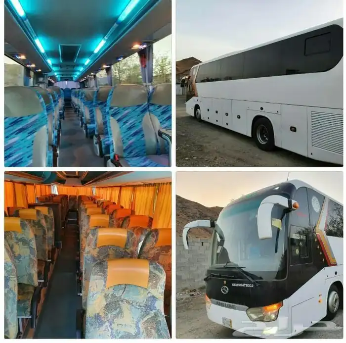 باص للايجار 16