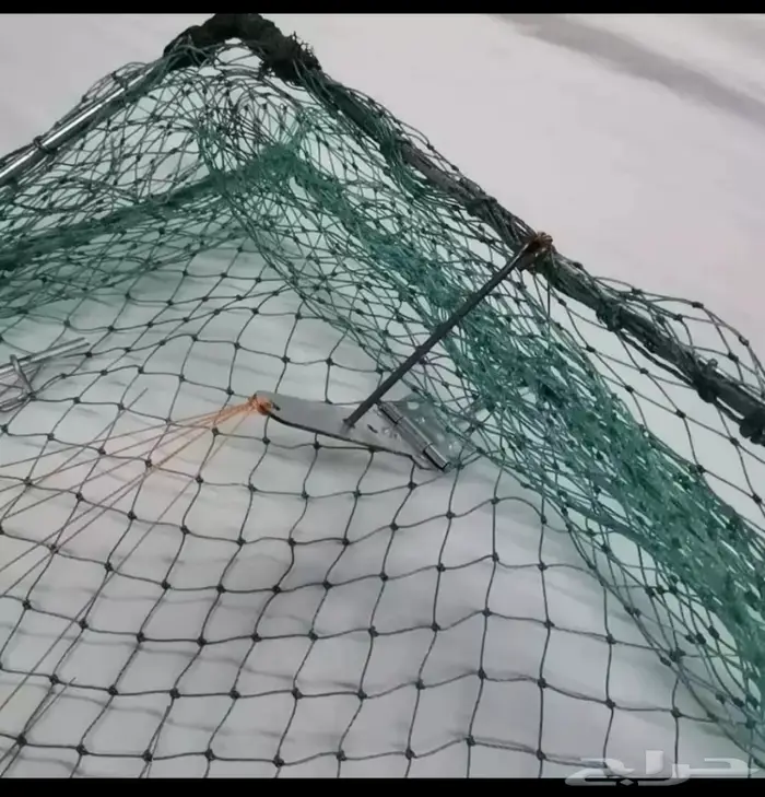 صياده مصيده طيور  1