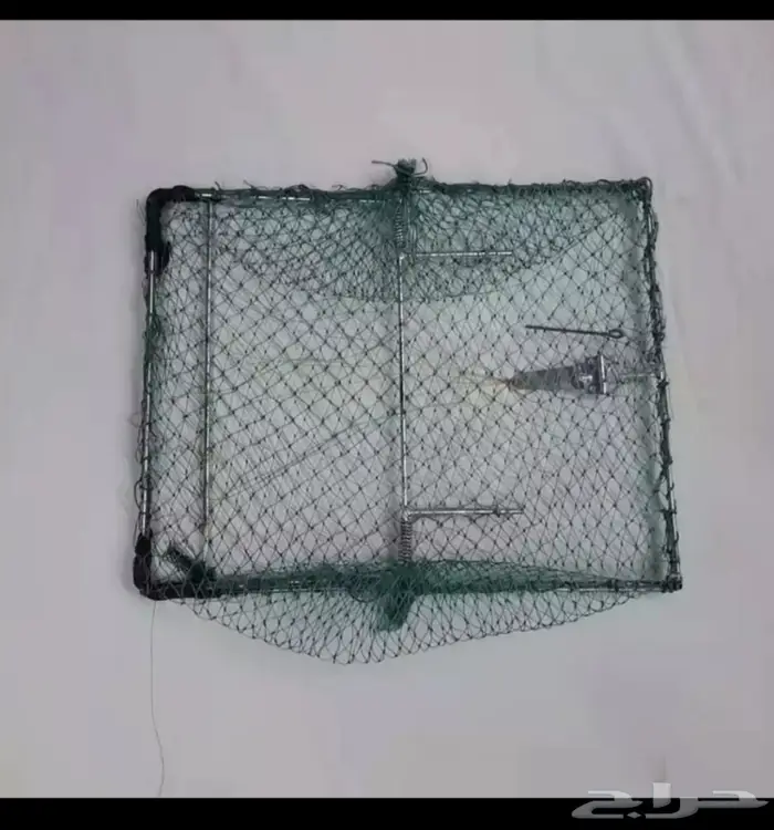 صياده مصيده طيور  2