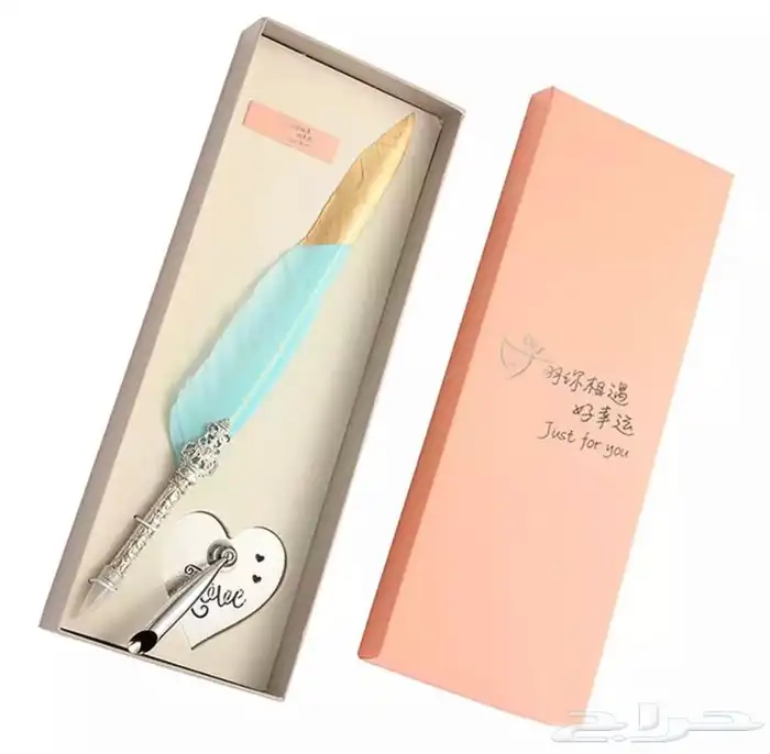 قلم ريشة بشكل كلاسيكي جميل(توصيل مجاني) 2