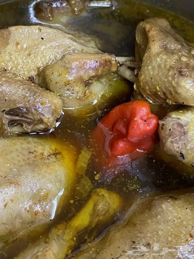 للبيع زغاليل ((فروخ))زاجل وفرنسي لاحم الموقع الخرج 8