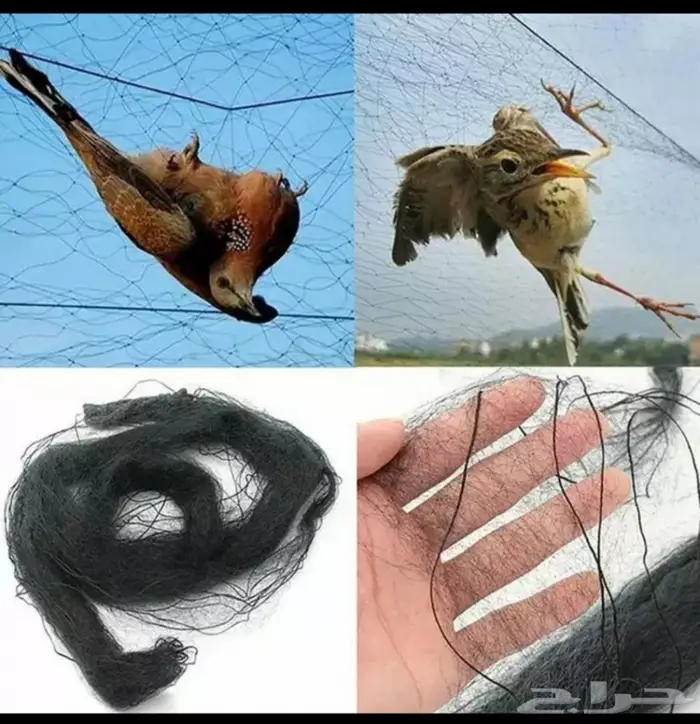 شبك صيد طيور 20 متر 1