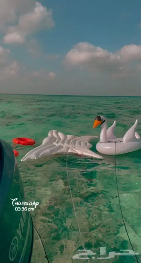 مالديف جدة رحلات بحرية جزيرة بياضه 4