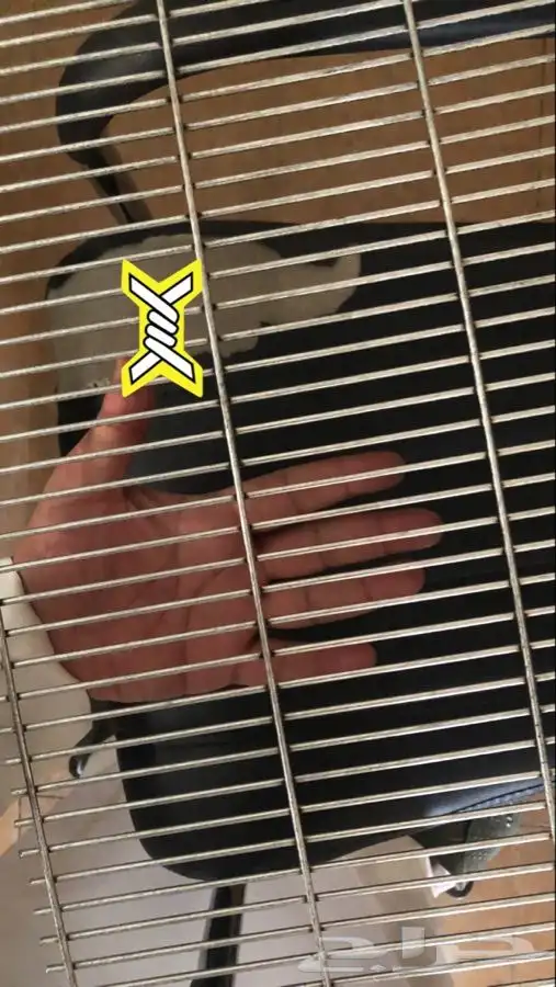 مصنع شبك - سياج - chainlink fence 1