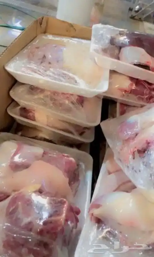 ذبايح طليان رخال تيوس (ذبيحة الى باب البيت ) 3