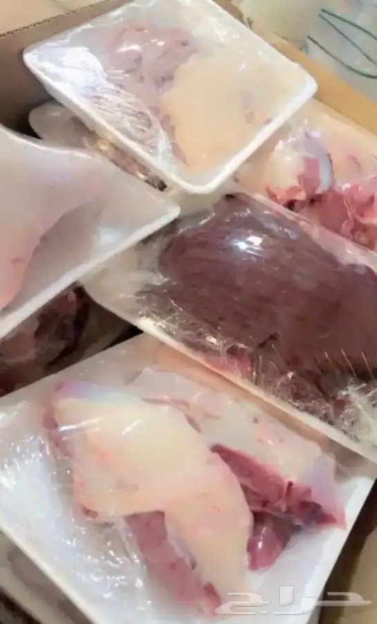 ذبايح طليان رخال تيوس (ذبيحة الى باب البيت ) 2