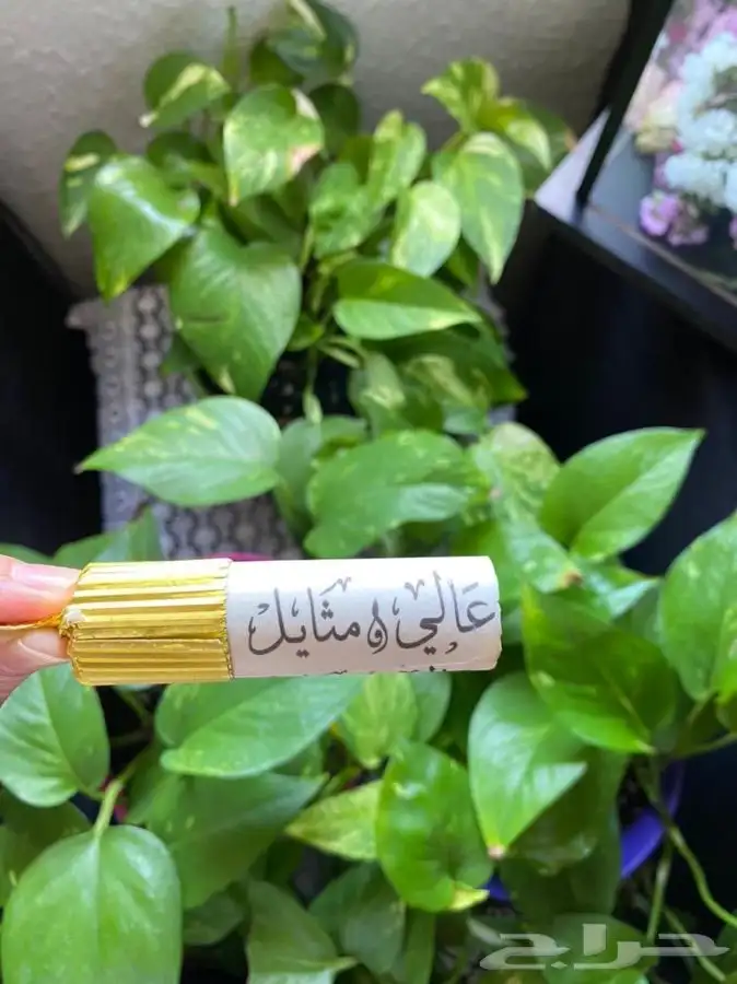 شوكولاته بلجيكية ( حفر وطباعة ) اسماء 0