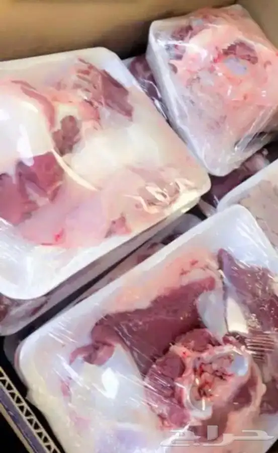 طليان ذبايح خرفان غنم 0