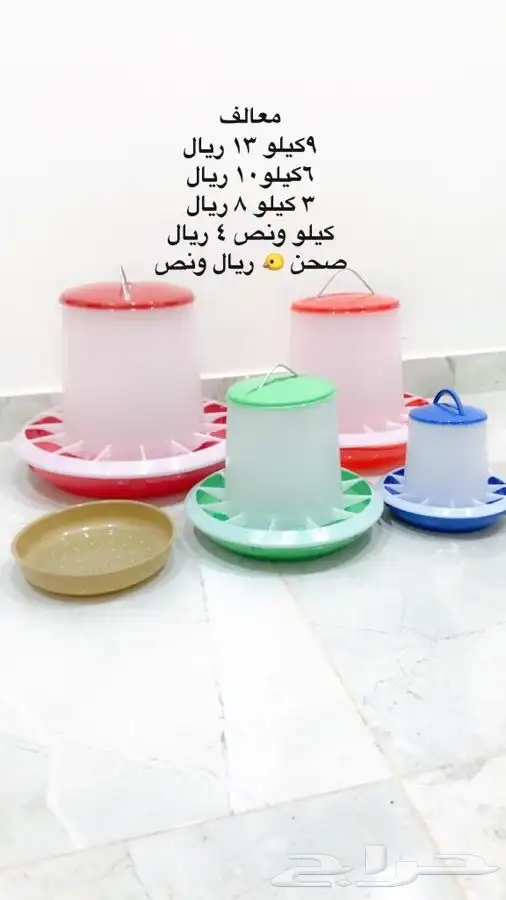 معالف سقايات مستلزمات طيور حمام دجاج 0