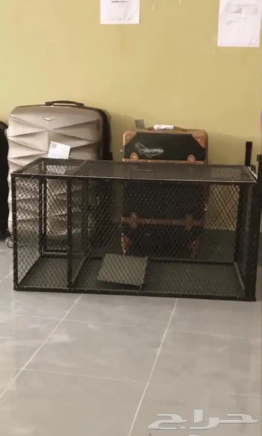 اقفاص كلاب قطط 2