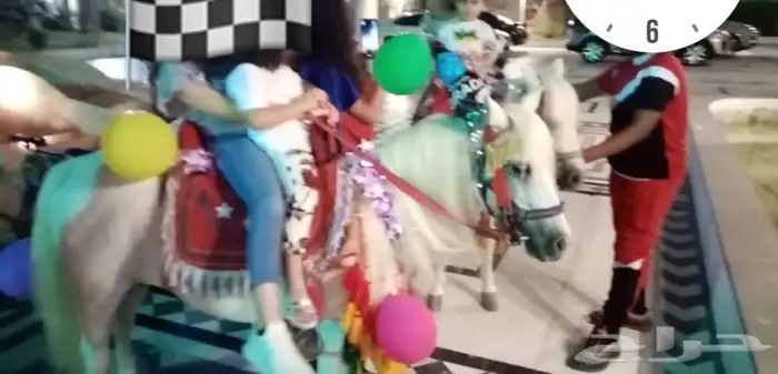 تاجير خيل و السيسي و البوني و العب الطفال 4